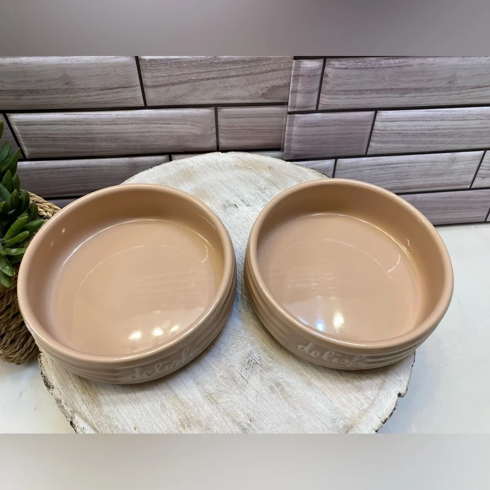 Raedunn “delish“cat & small dog bowls 🐱 🐶 set of 2 dusty pink New